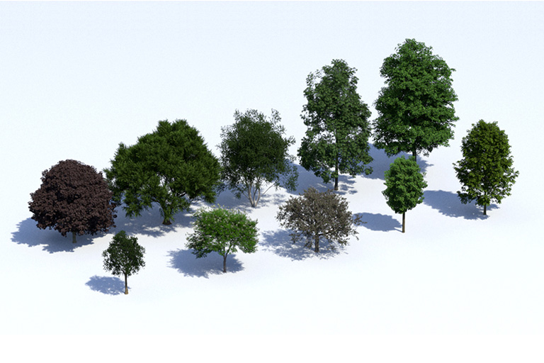 PlantsKit | Plants Kit 13 | Zestaw zarówno unikalnych jak i pospolitych drzew liściastych z obszarów umiarkowanych. Głównie z Ameryki Północno-Wschodniej, Europy i Azji Wschodniej. Do wykorzystania w parkach, ogrodach lub ulicach.