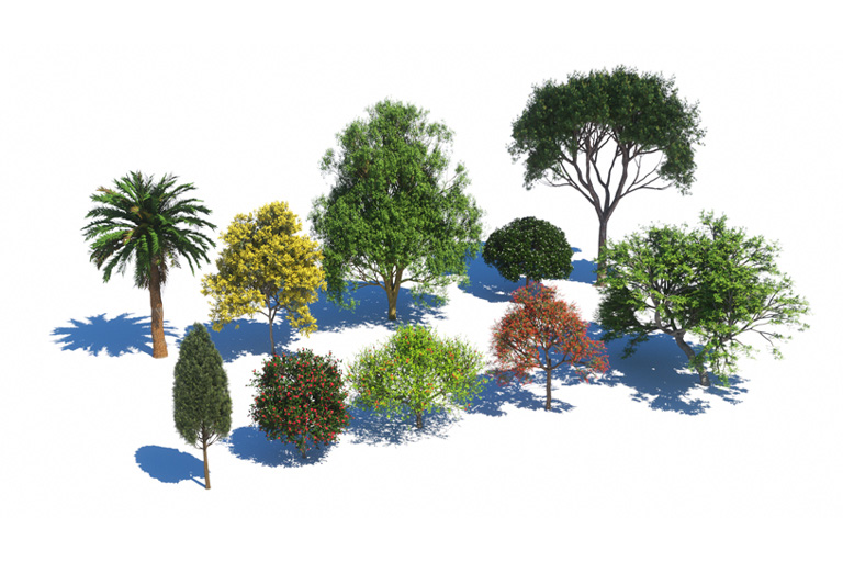 PlantsKit | Plants Kit 4 | Kolekcja śródziemnomorskich i innych subtropikalnych gatunków drzew występujących na całym świecie.