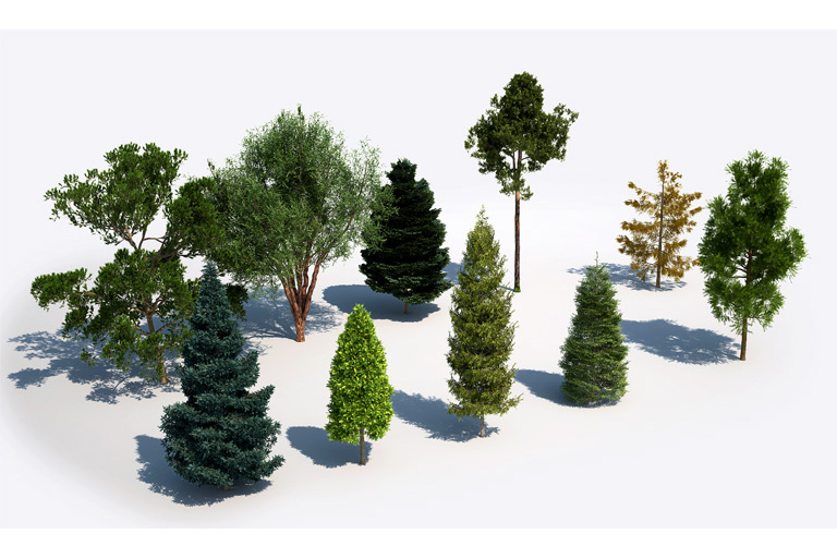 PlantsKit | Plants Kit 5 | Kolekcja gatunków drzew iglastych z obszarów umiarkowanych, sadzonych w parkach, ogrodach lub lasach. W tym doskonałe okazy do trawników oraz popularne ozdobne i żywe choinki.