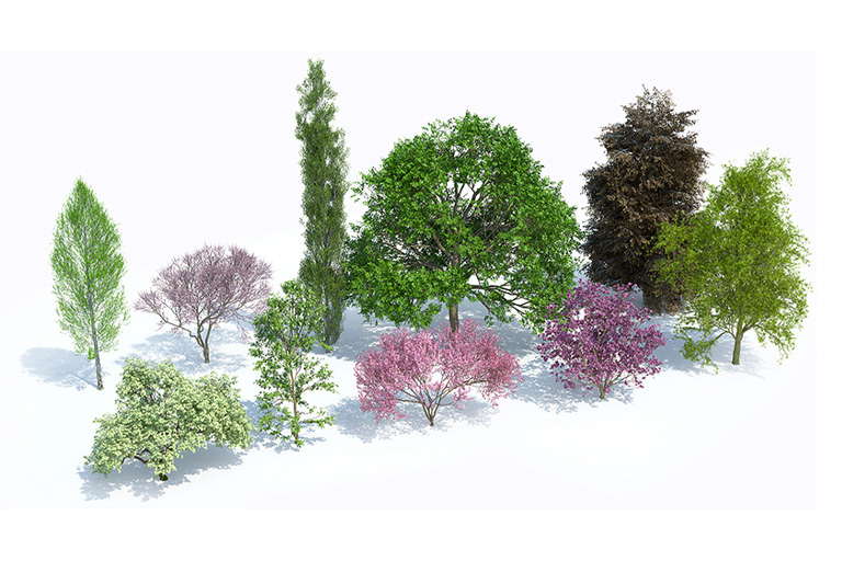 PlantsKit | Plants Kit 6 | Wybór popularnych, jak i wyróżniających się gatunków drzew liściastych ze strefy umiarkowanej. Uwzględnia okazy o wspaniałych kwiatowych motywach czy ciemnoczerwone drzewa liściaste.