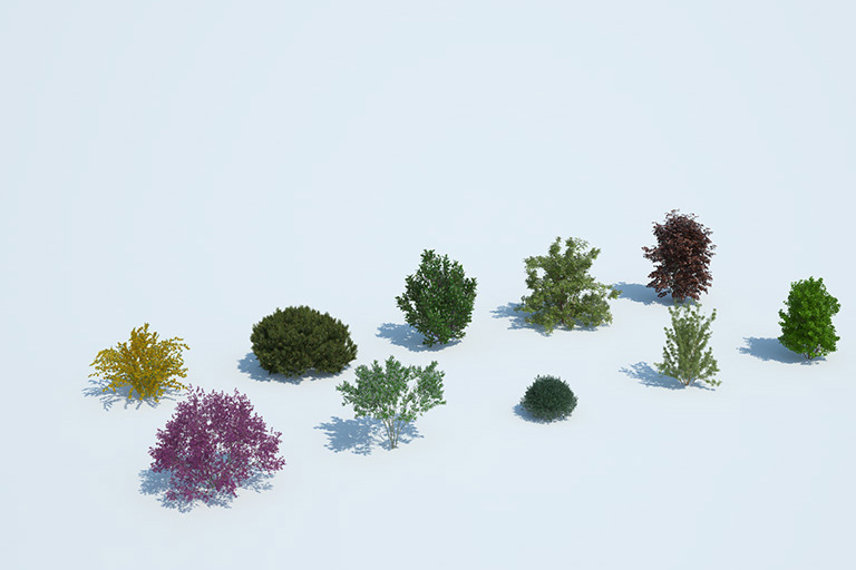 PlantsKit | Plants Kit 8 | Zbiór 10 gatunków krzewów ze strefy umiarkowanej. Wykorzystywanych w parkach, ogrodach i krajobrazach wiejskich. W tym doskonałe krzewy ze spektakularnymi kwiatami i popularne krzewy ozdobne.