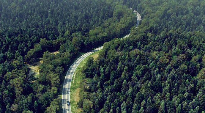 V-Ray 3ds Max | Dynamiczna geometria